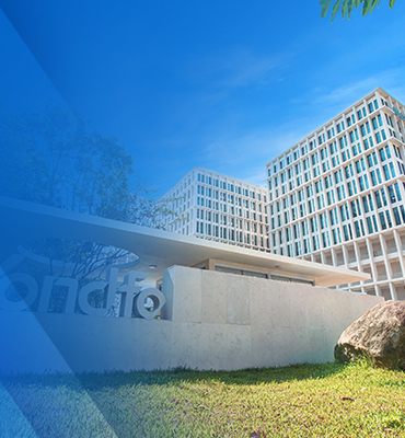 关于抢庄牛牛平台